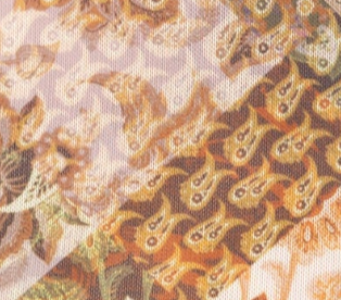 swatch_Multi avec les filles printed mesh long sleeve top