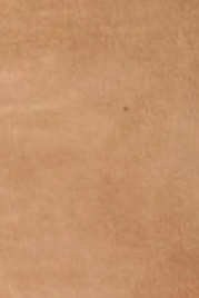 swatch_Natural Suede marc fisher calynna pump