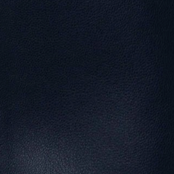 swatch_Navy central park west rusty mini skirt