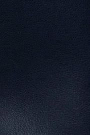 swatch_Navy central park west rusty mini skirt