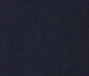 swatch_Navy pleated mini skirt