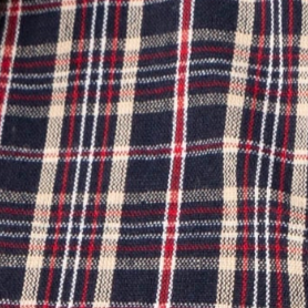 swatch_Navy alexa plaid button down blouse