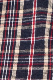 swatch_Navy alexa plaid button down blouse