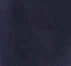 swatch_Navy pleated mini skirt