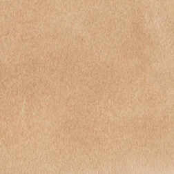 swatch_Nougat jolin mary jane flats