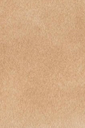 swatch_Nougat jolin mary jane flats