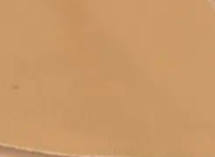 swatch_Nude Leather tash heeled sandal heeled sandals