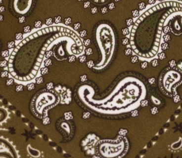swatch_Olive bandana head scarf