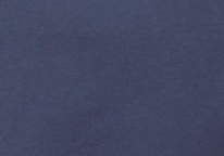 swatch_Perri Blue rd style esther polo