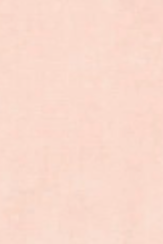 swatch_Pink blank nyc lawn party barn jacket