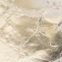 swatch_Platino Leather heeled loafer