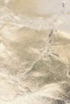 swatch_Platino Leather heeled loafer