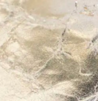 swatch_Platino Leather heeled loafer