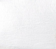 swatch_Platinum oncept essex sneaker