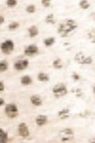 swatch_Pois/Gold back70 cloud w26 sneaker