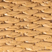 swatch_Raffia steve madden montgomery slide sandal