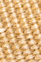 swatch_neutrals boardwalk raffia sandal flat sandals