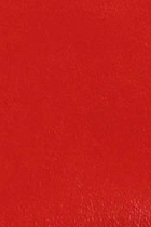 swatch_Red Leather marc fisher elysha flat sandal