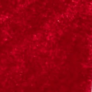 swatch_Red Velvet Katia wedge