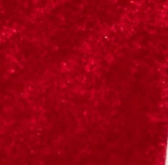 swatch_Red Velvet Katia wedge