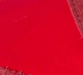 swatch_Red/Coral arizona sneaker shoes