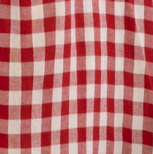 swatch_Red/Ivory sadie and sage gingham midi dress