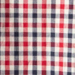 swatch_Red/Navy urban daizy embroidered gingham blouse