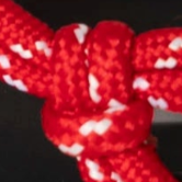 swatch_red flo thong sandal flat sandals