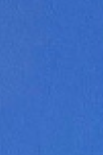 swatch_Royal Blue archies arch support flip flop flat sandals