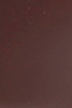 swatch_Rum Raisin original short rainboot boots