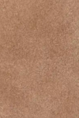 swatch_neutrals heeled ankle boot ankle boots