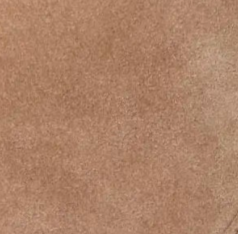 swatch_neutrals heeled ankle boot ankle boots