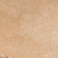 swatch_sand suede suede penny loafer flat shoes