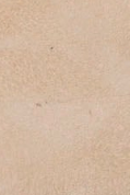 swatch_Sand/Platino l'idea pia leather pump