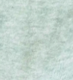 swatch_Seafoam le bon shoppe sneaker sock