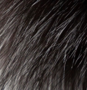 swatch_Silver fur earmuffs