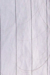 swatch_Silver/Blue pinstripe cropped button down shirt