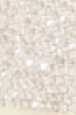 swatch_Silver back70 smart rhinestone glitter sneaker
