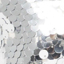 swatch_Silver alina sequin bag