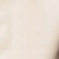 swatch_Stone blank nyc cloud dancer jacket