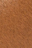 swatch_Tan Haircalf matisse miramar clog sandal