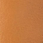 swatch_Tan Leather silent d gizella platform sandal