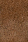 swatch_Tan Leather heeled fisherman sandal