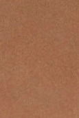 swatch_Tan nubuck steve madden rae block heel sandal