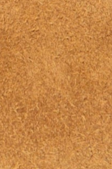 swatch_Tan Suede alohas rosalind ballet flat
