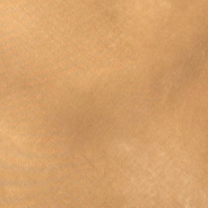 swatch_Tan/Black sanctuary everyday satin lace mini skirt