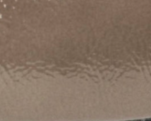 swatch_Taupe Multi spectator flat