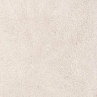 swatch_Taupe Suede l'idea olga mary jane