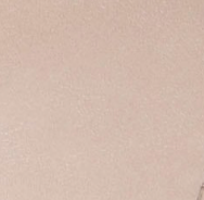 swatch_Taupe vegan leather charra flat sandal
