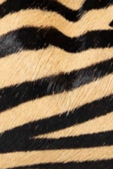 swatch_Tiger german fuentes calfhair crossbody bag